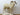 Lifesize Dall Sheep image 1