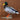 Mallard Duck image 0