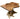 Michigan White Cedar Stump Dinner Table with Oak Slab image 0