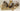 4 animals in a canoe " Noah's Ark" image 0