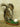 Golfing Squirrel Taxidermy image 0