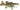 Smallmouth Bass Reproduction image 0
