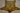 Cinnamon Phase Black Bear Rug image 0
