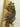 Grey Squirrel Climbing Taxidermy image 1