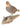 Hungarian Partridge Mount image 0