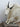 Lifesize Mountain Goat image 1