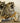 Double Canoeing Raccoon Taxidermy image 2