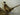 Ringneck Pheasant Pair of Male and Female Taxidermy image 2