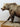 Walking Grizzly Bear image 1