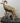 Lifesize Stone Sheep w/ Base image 0