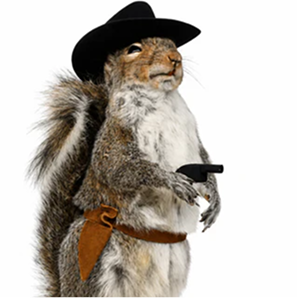 Squirrels