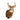 White Tail Deer Shoulder Mount Taxidermy image 0