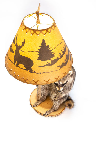 Raccoon w/Lamp & Shade image 1