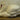 Swimming Swan Taxidermy image 0