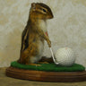 Golfing Chipmunk Taxidermy image 0
