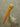 Faux Pelican Taxidermy image 3