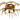 5 light Real Antler Ceiling Fixture " Cabin Fever"