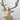 Fallow Deer Shoulder Mount image 0