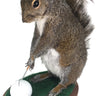 Golfing Squirrel Taxidermy Mount image 0