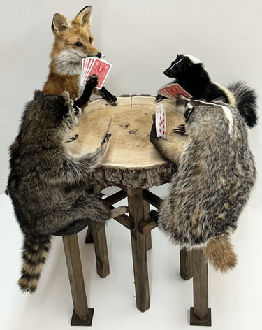 Animals Playing Poker --Raccoon Red Fox, Skunk, Badger w/ Table image 1