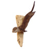 Swimming Otter Taxidermy Mount image 0