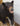 Large Standing Black Bear image 1