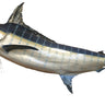 Blue Marlin Reproduction Mount image 0
