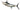 Blue Marlin Reproduction Mount image 0