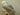Standing Faux Snow Owl Taxidermy image 1