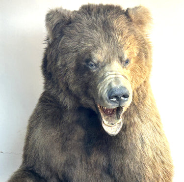 6 1/2 Foot Standing Grizzly Bear w/ Base image 1