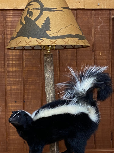 Skunk w/ Lamp & Shade image 1