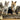 5 Animals in a canoe: Raccoon Bobcat Red Fox Skunk image 0