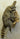 Raccoon Hanging on Driftwood image 0