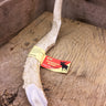 Mega Antler Dog Chew image 0