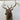 Elk Shoulder Mount image 0