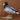 Mallard Duck image 0