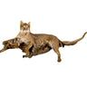Bobcat Laying Taxidermy Mount image 0