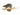 Raccoon Walking Taxidermy Mount image 0