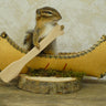 Canoeing Chipmunk Taxidermy image 0
