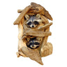 Peeping Raccoon - Double Taxidermy Mount image 0