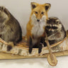4 animals in a canoe " Noah's Ark" image 0