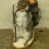 Hiking Squirrel Taxidermy image 0