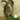 Golfing Squirrel Taxidermy image 0