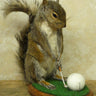 Golfing Squirrel Taxidermy image 0
