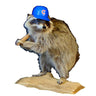 Cubs Raccoon Taxidermy Mount image 0