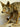 Coyote on Driftwood Taxidermy image 3
