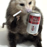 Opossum -- Smoking & Drinking Taxidermy Mount image 0