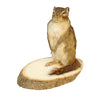 Chipmunk Standing Taxidermy Mount image 0