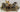 4 Animals in a Canoe " Noah's Ark" image 0