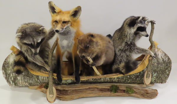 4 Animals in a Canoe " Noah's Ark"